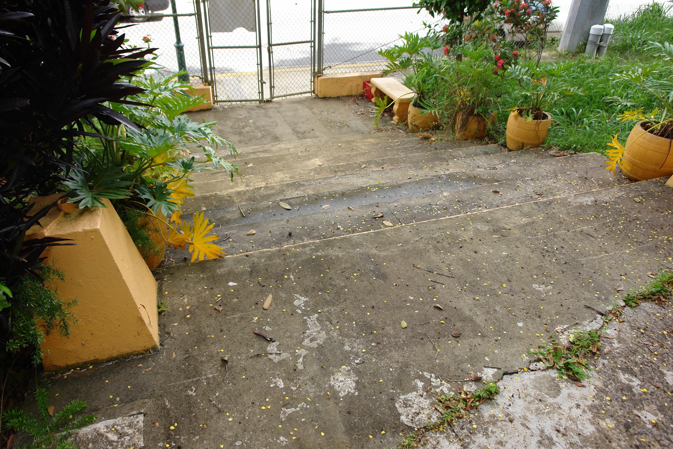 FDII - Aibonito - 2010 00051